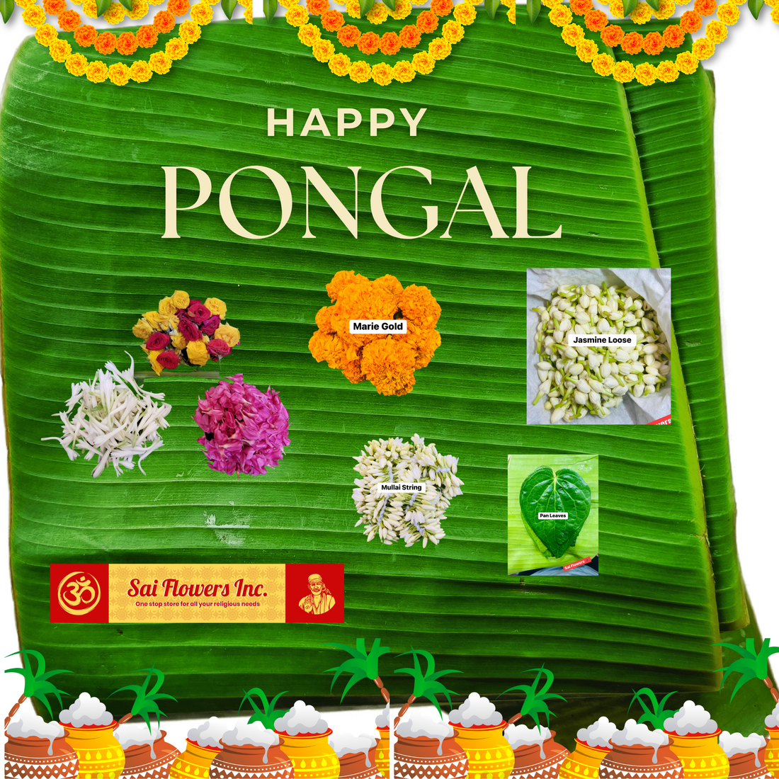 How Flower Enhances Pongal's Festive Experiences